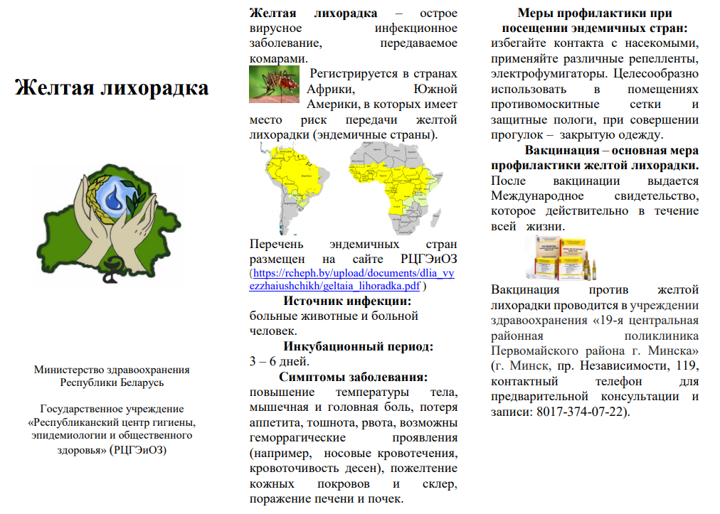lihoradka